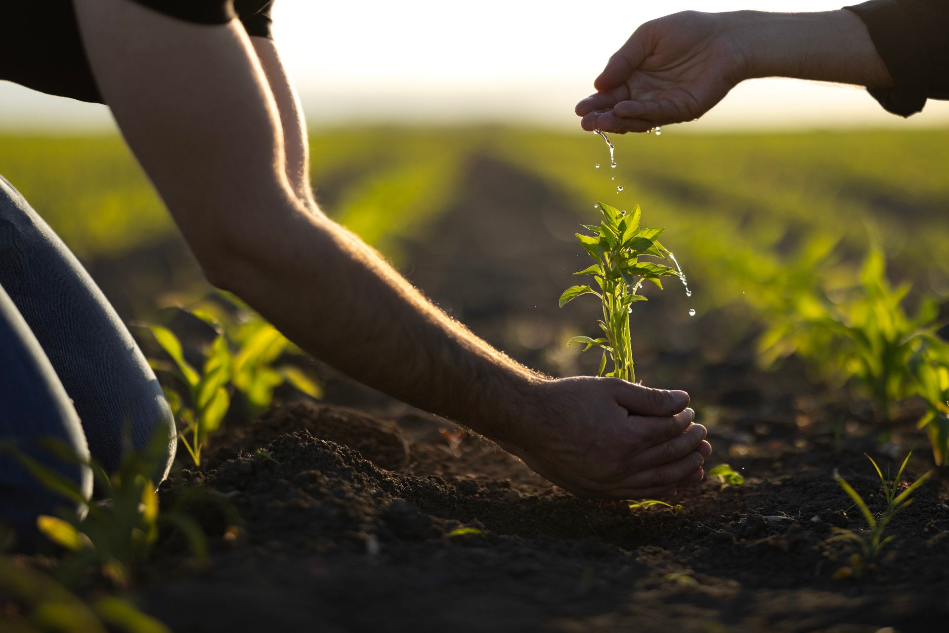 Presentación Fundación Enhol
