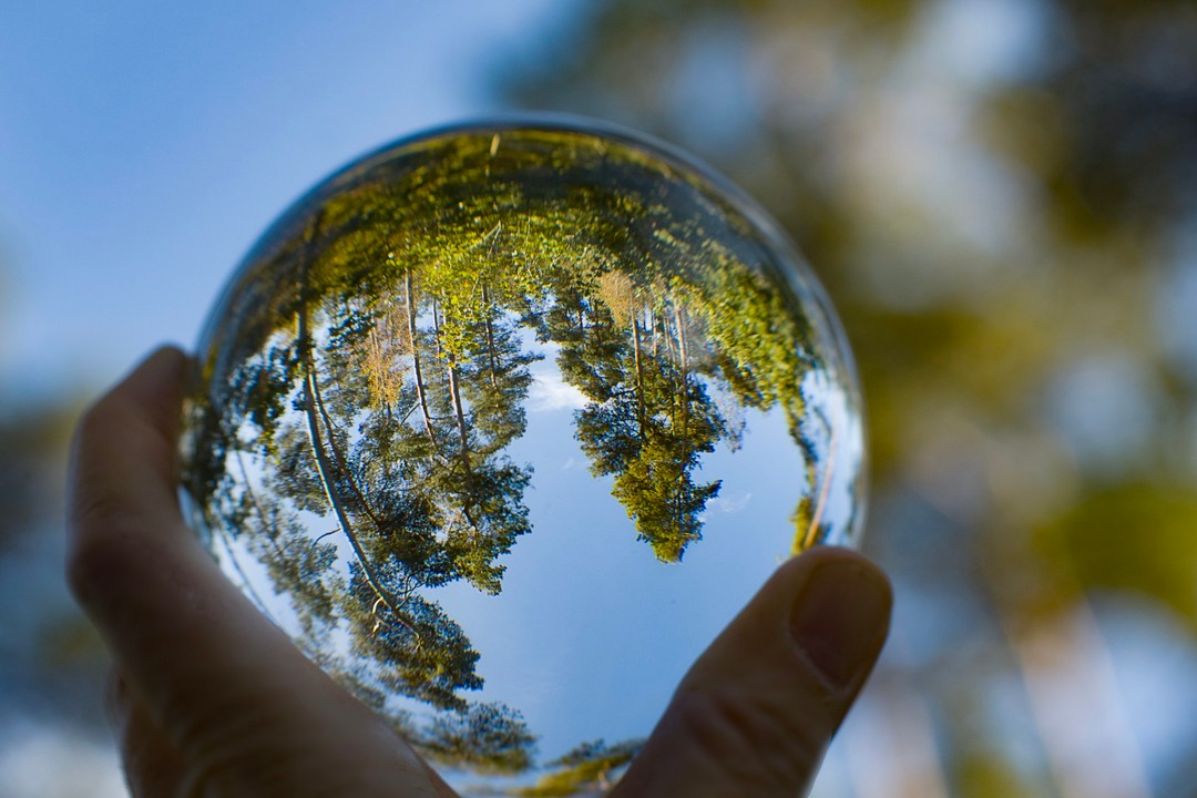 Conservación biodiversidad y protección ecosistemas