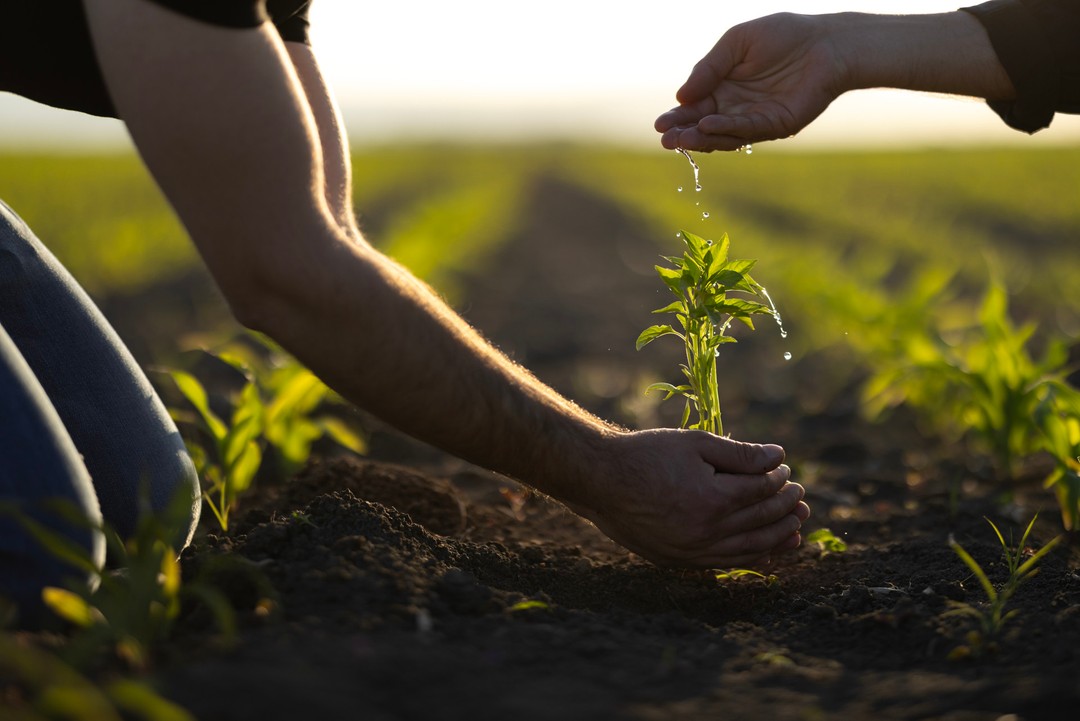 Gestión sostenible de recursos naturales